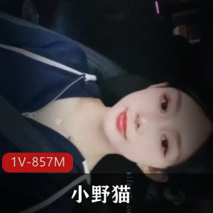 狐不妖-红娘小茶馆[1V-1.3G]